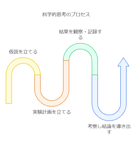 2. 科学的思考力とは visual selection 2