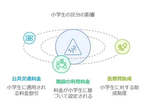 公共料金における小学生の区分 visual selection