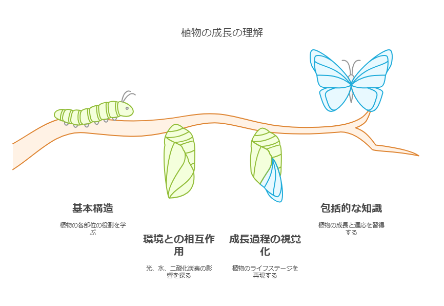 木のモデル作り 植物の構造と成長を探る visual selection