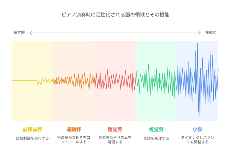 脳科学が証明するピアノ学習の驚くべき効果 visual selection
