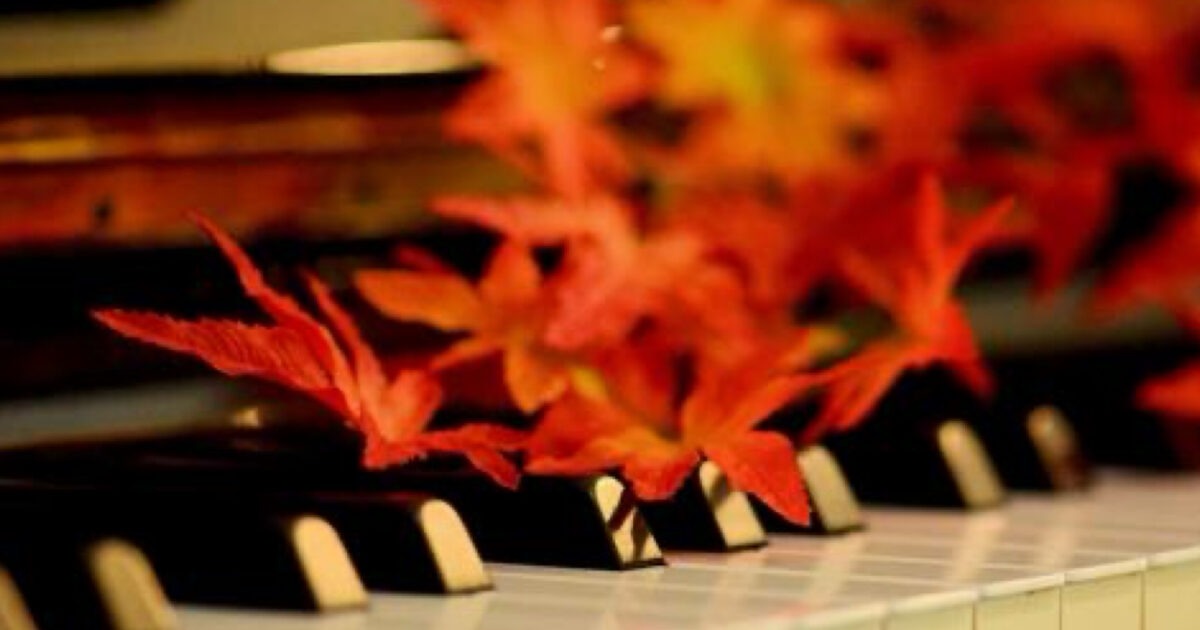 秋から始めるピアノレッスン ─ 脳科学が示す未就学児・小学生への効果|府中市で教室でも自宅でもClover Hillピアノ教室 5 phonto 3